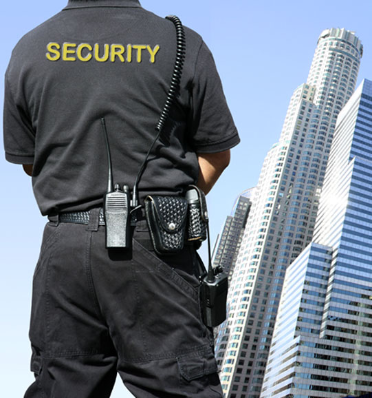 imgi 167 security services